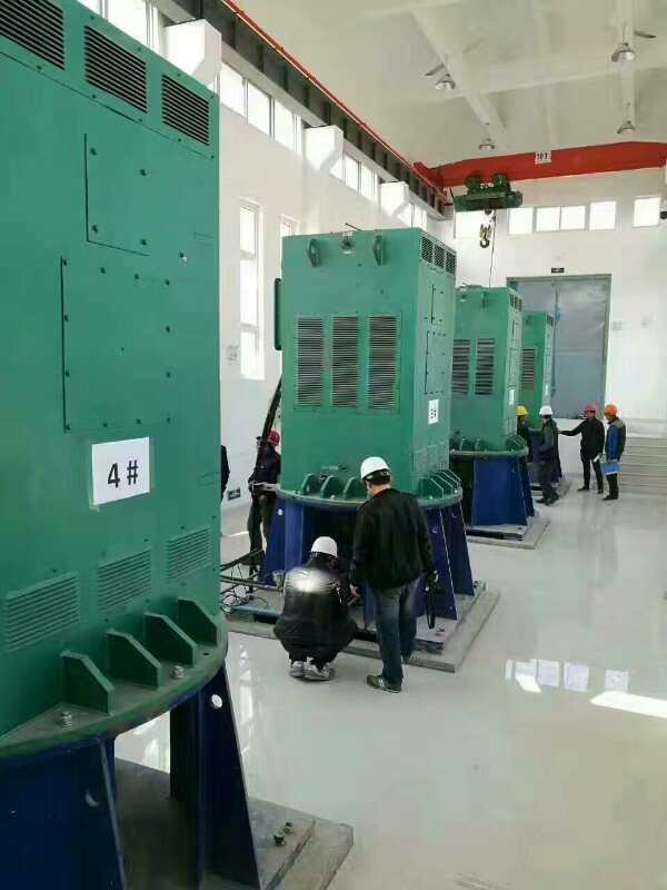 金城江某污水处理厂使用我厂的立式高压电机安装现场