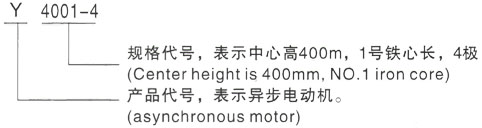 西安泰富西玛Y系列(H355-1000)高压金城江三相异步电机型号说明